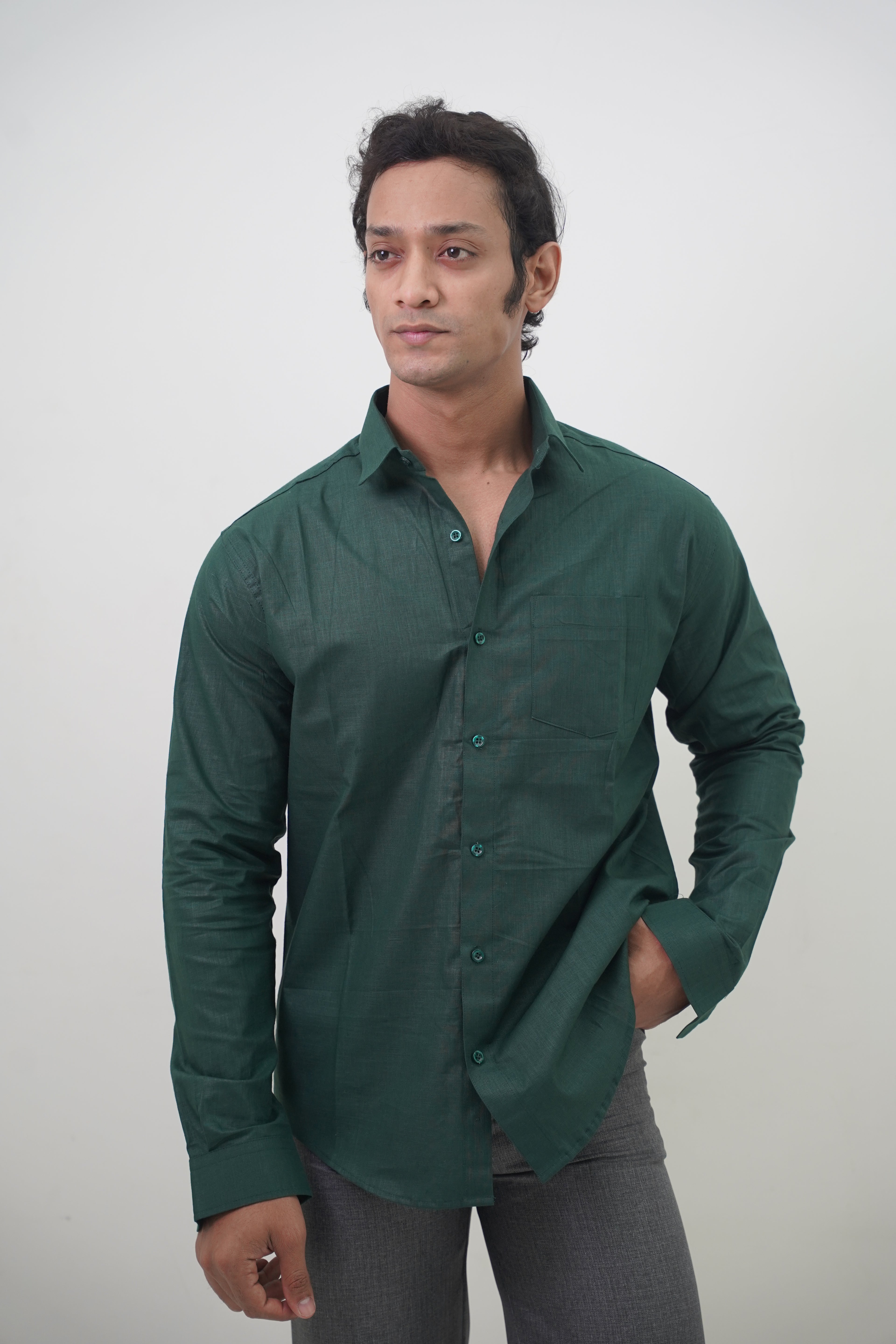 Regular Fit Casual Linen Blend Shirt in Green